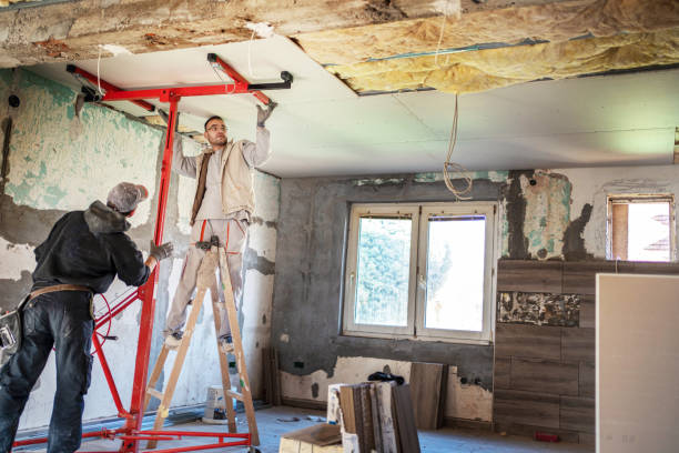 Best Insulation Repair Services  in Somerset, PA