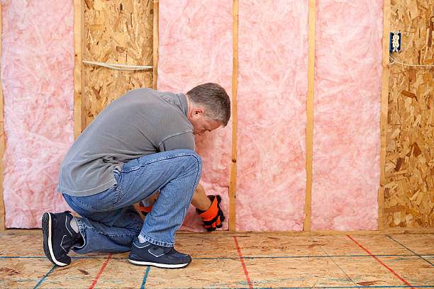 Best Insulation Contractor Near Me  in Somerset, PA