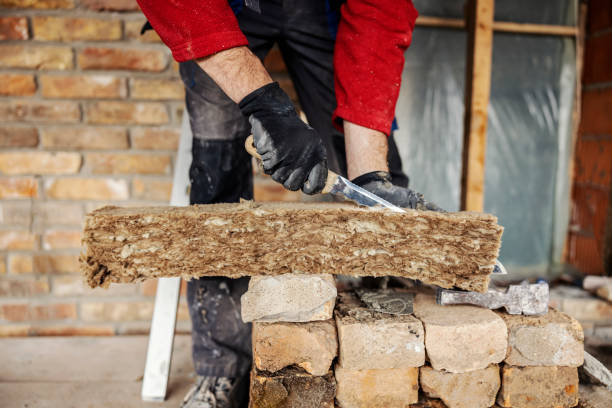 Best Local Insulation Services  in Somerset, PA