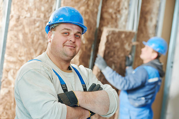 Best Attic Insulation Installation  in Somerset, PA