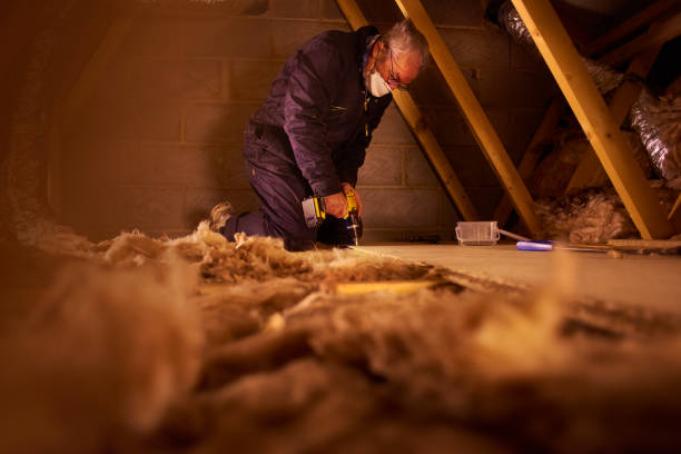 Best Best Insulation Companies  in Somerset, PA